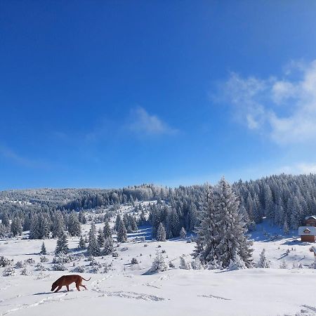 Gold Hill Villa Sekulic Luaran gambar